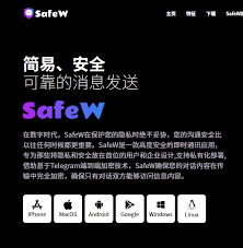 SafeW中文版连不上？问题不在服务器的排查与解决方法